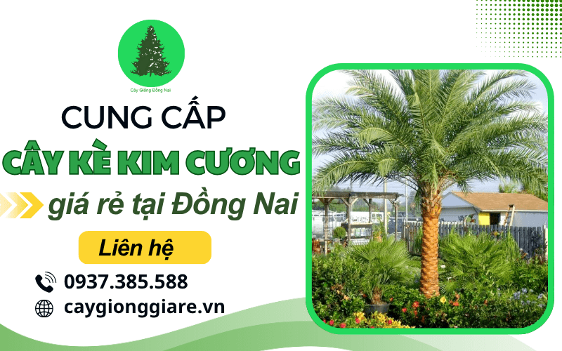 cây kè kim cương
